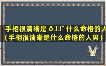 手相很清晰是 🐯 什么命格的人（手相很清晰是什么命格的人男）